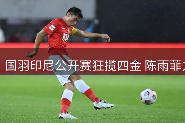 国羽印尼公开赛狂揽四金 陈雨菲力克安洗莹登顶